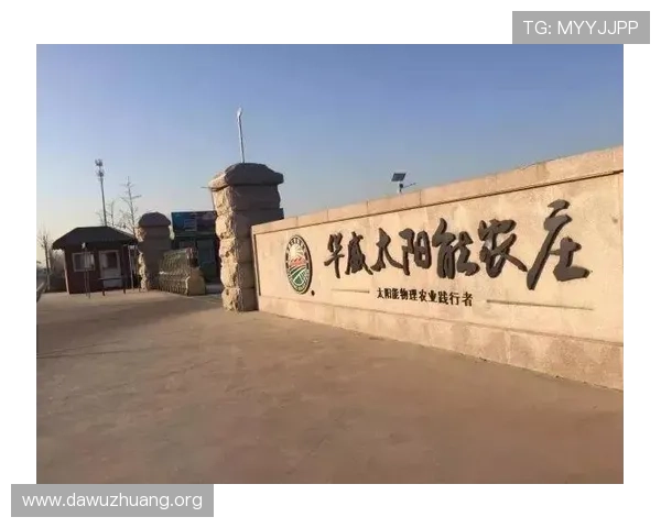 太阳娱乐有限公司怎么样值得信赖吗用户最关心的公司背景分析