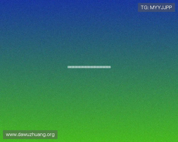 娱乐八够了，揭秘世界杯明星球员的赛场表现与背后故事全景分析