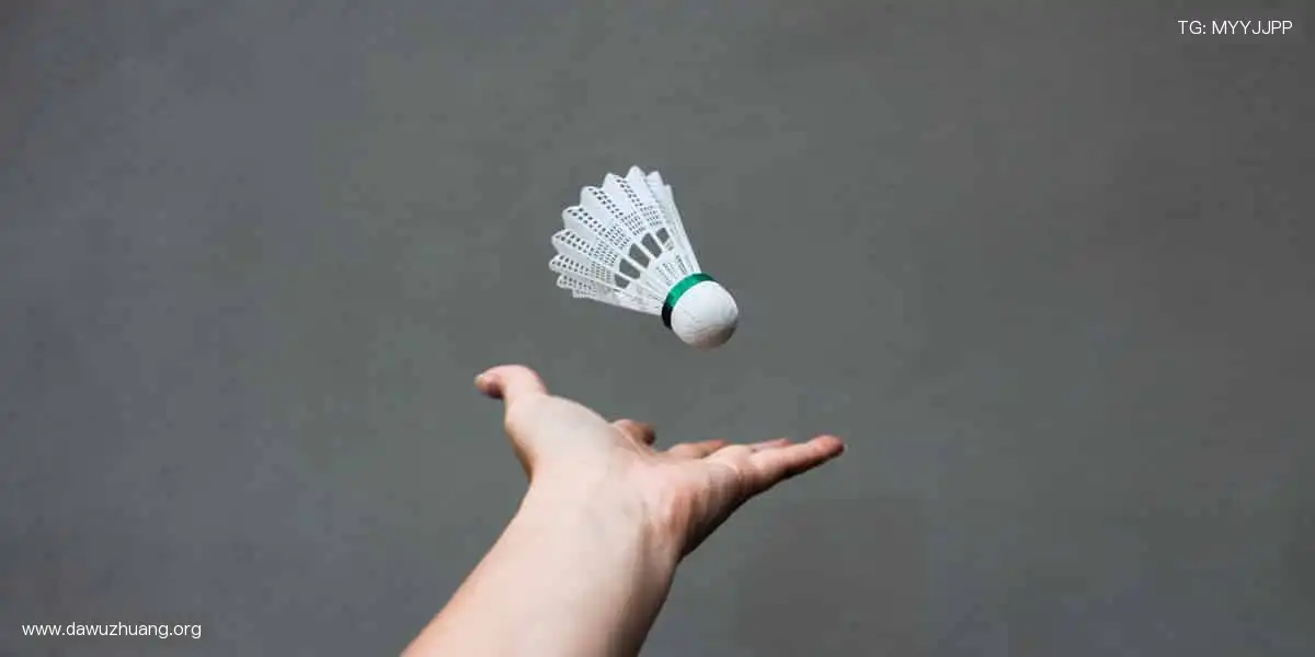 全球电竞真人天堂：职业视讯团战carry，乐趣永不停